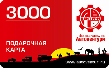 Карта подарочная 3000
